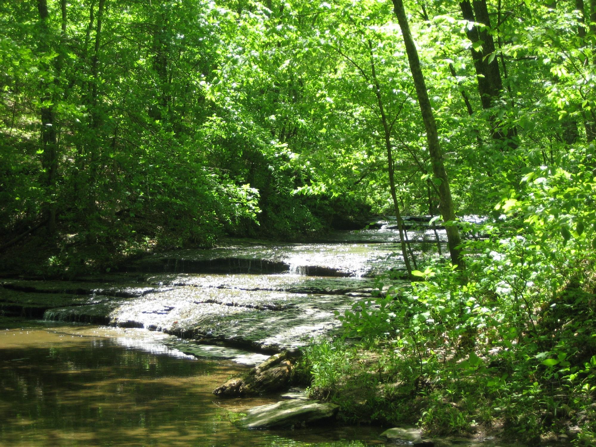 Beaman Park Nature Center