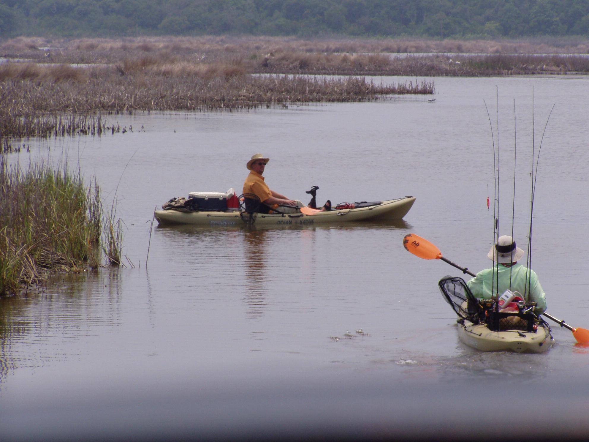 Action Kayak Adventures