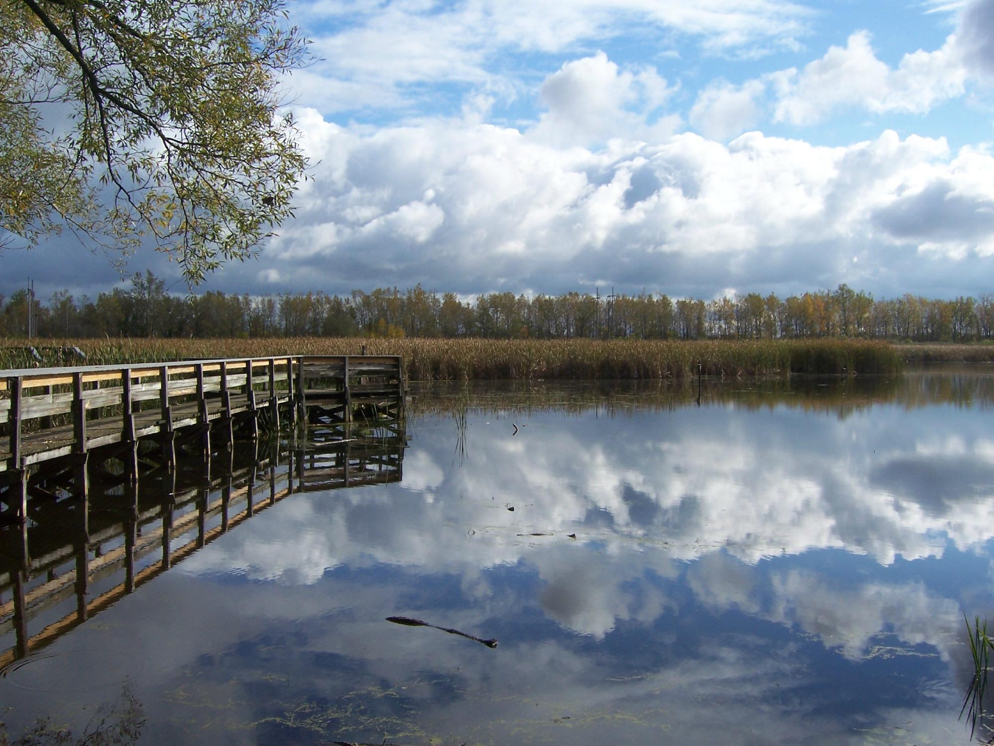 Tifft Nature Preserve