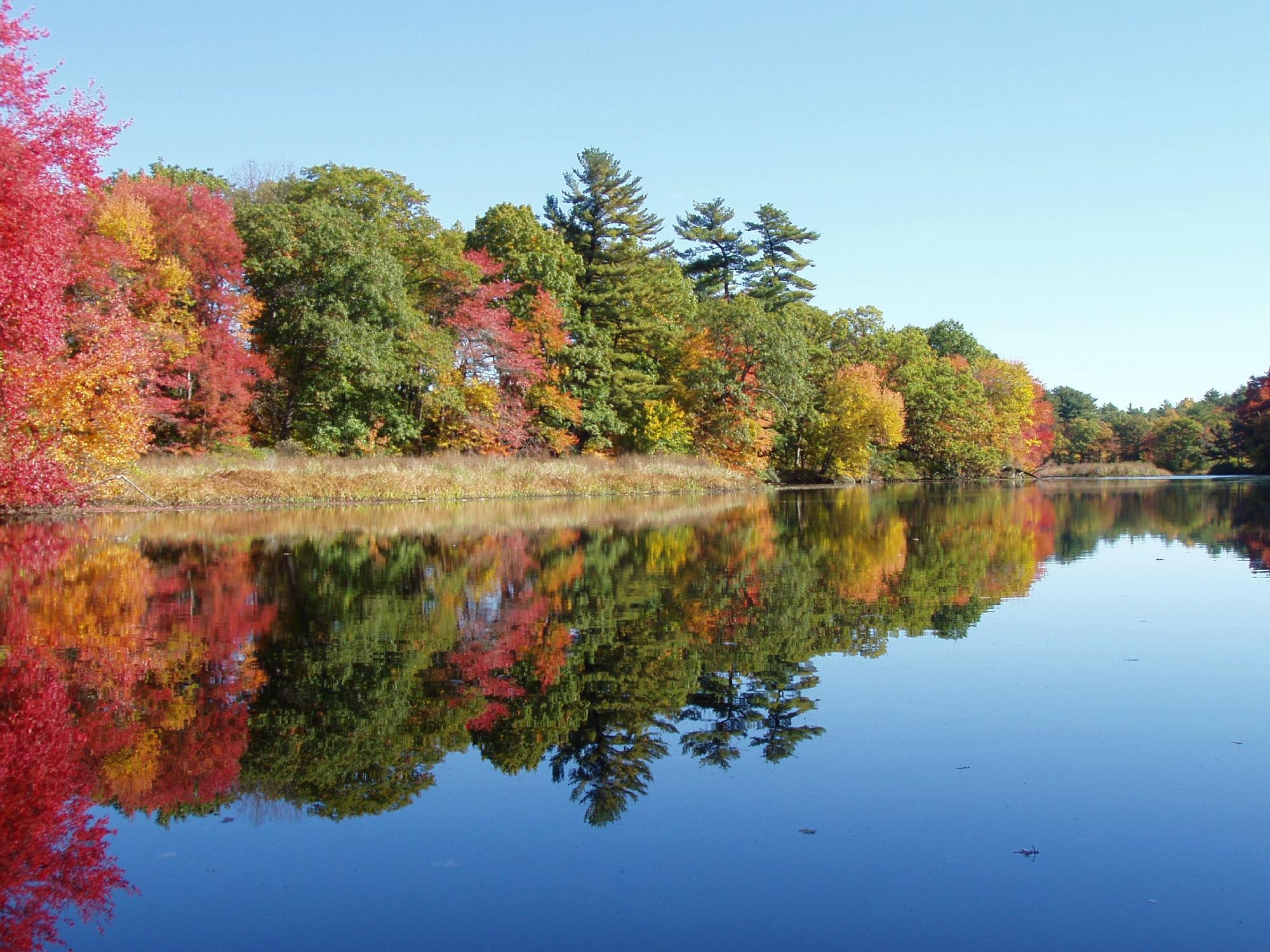 Charles River Peninsula