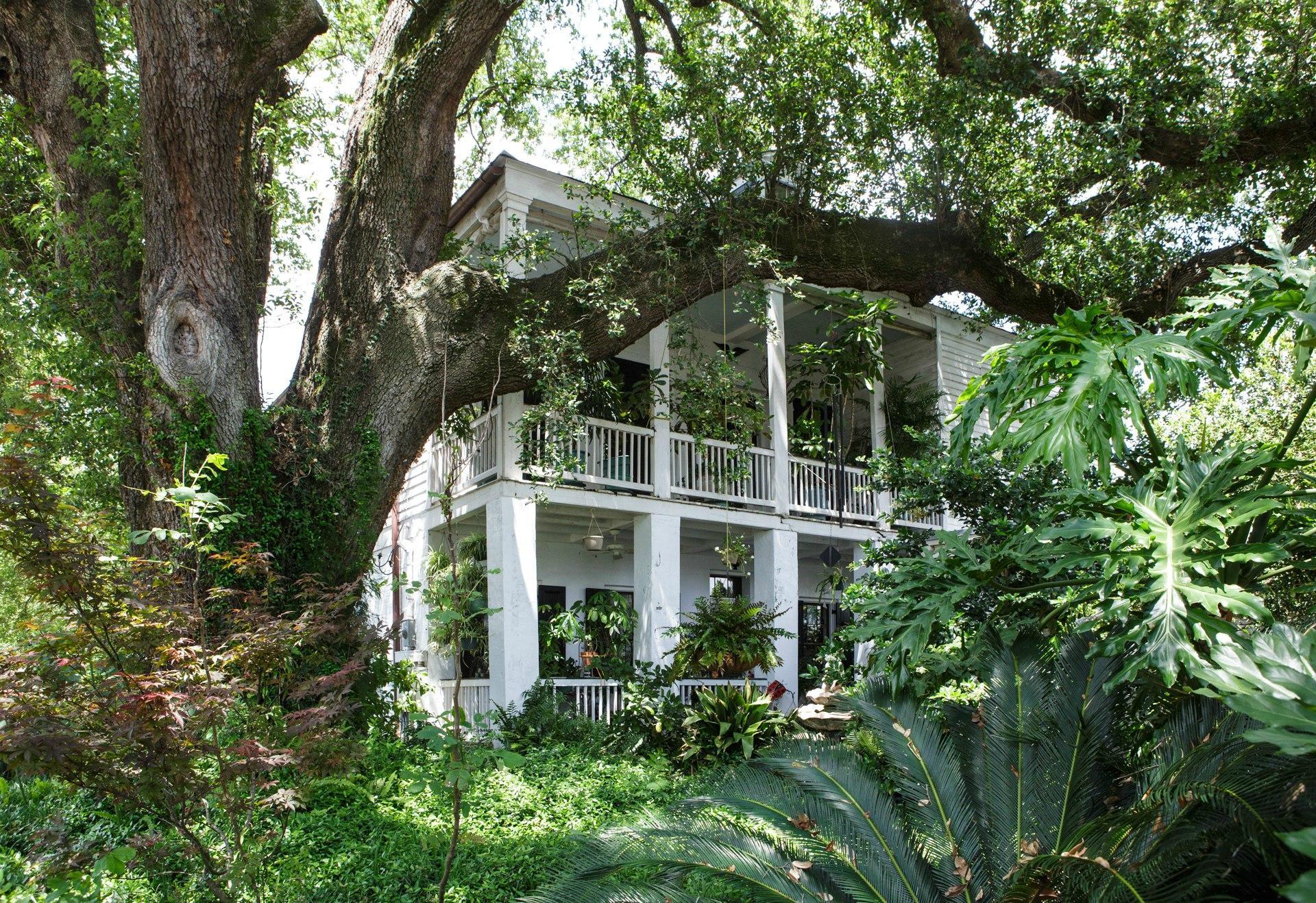 Algiers Point Tours