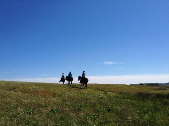 Centre equestre La criniere au vent