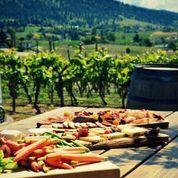 Experience Wine Tours