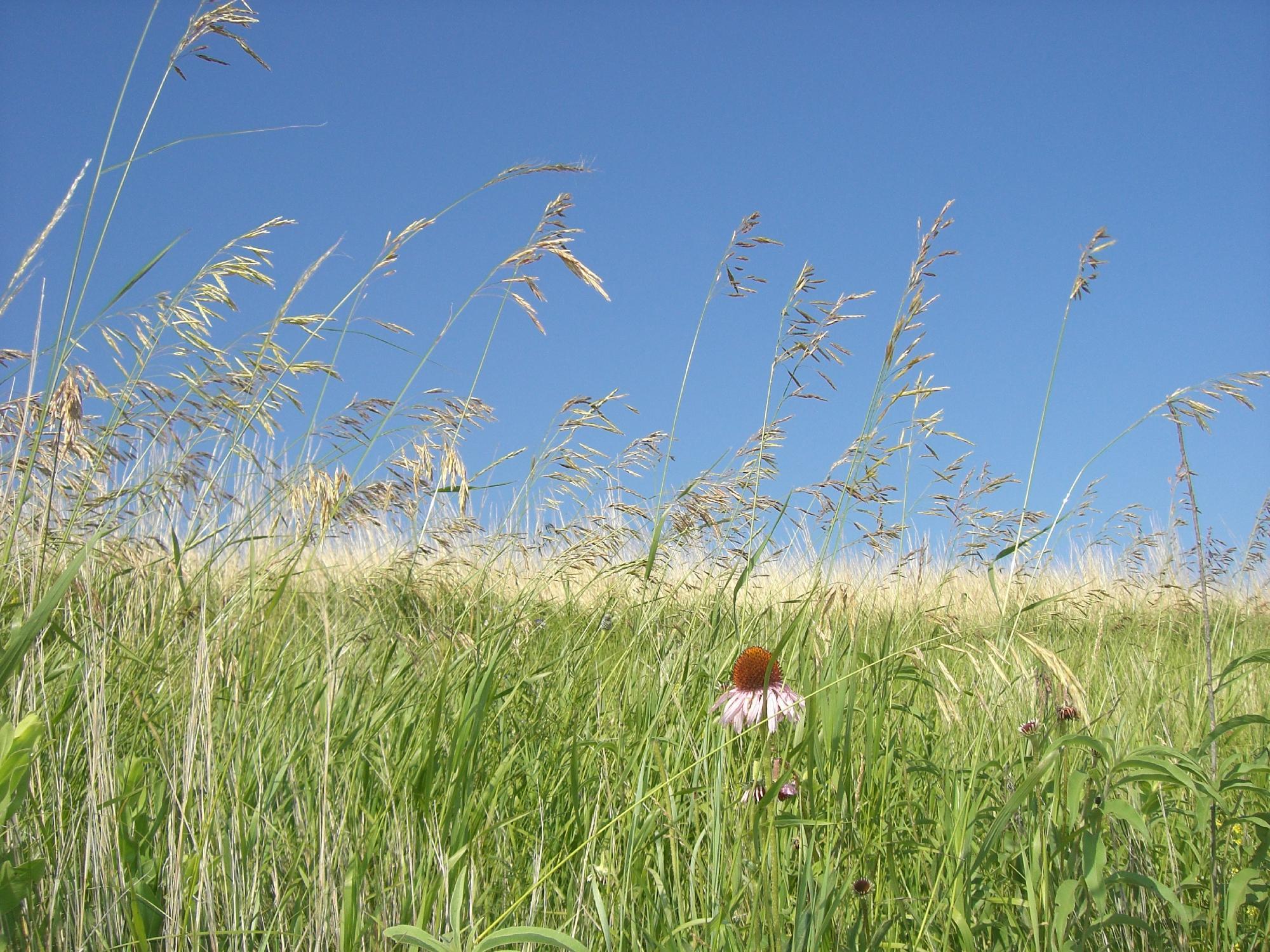 Audubon National Wildlife Refuge