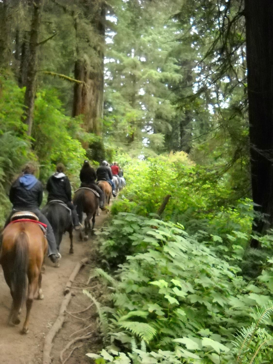 Redwood Creek Buckarettes