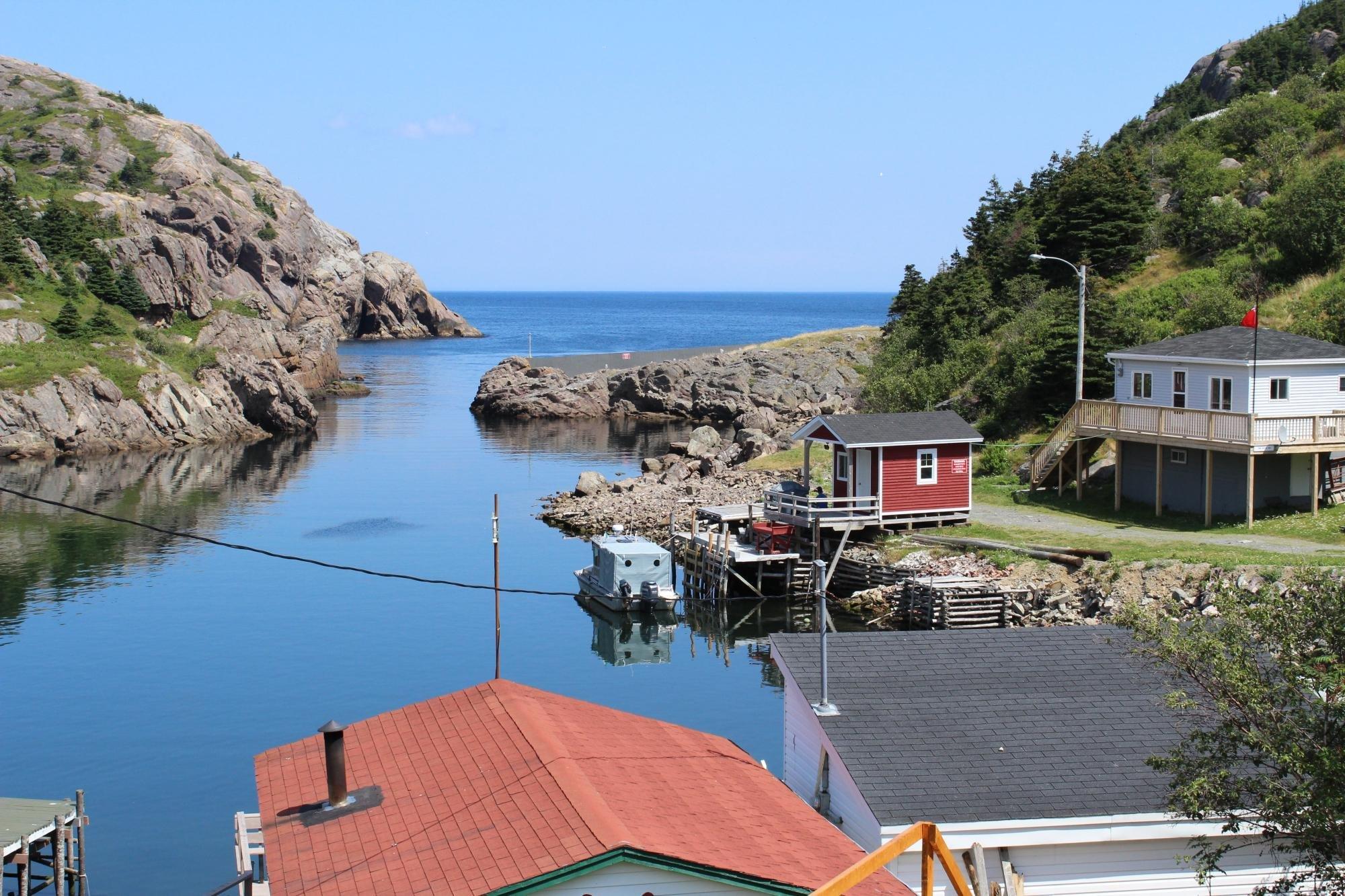 Quidi Vidi Battery