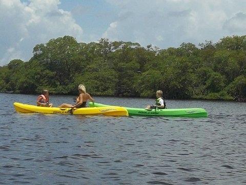 Pine Island Paradise Paddling Day Tours