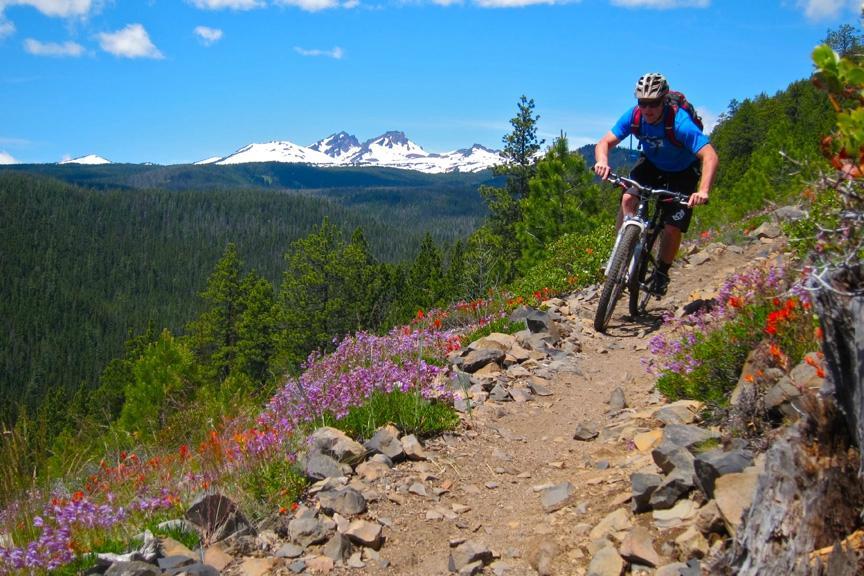 Cog Wild Bicycle Tours