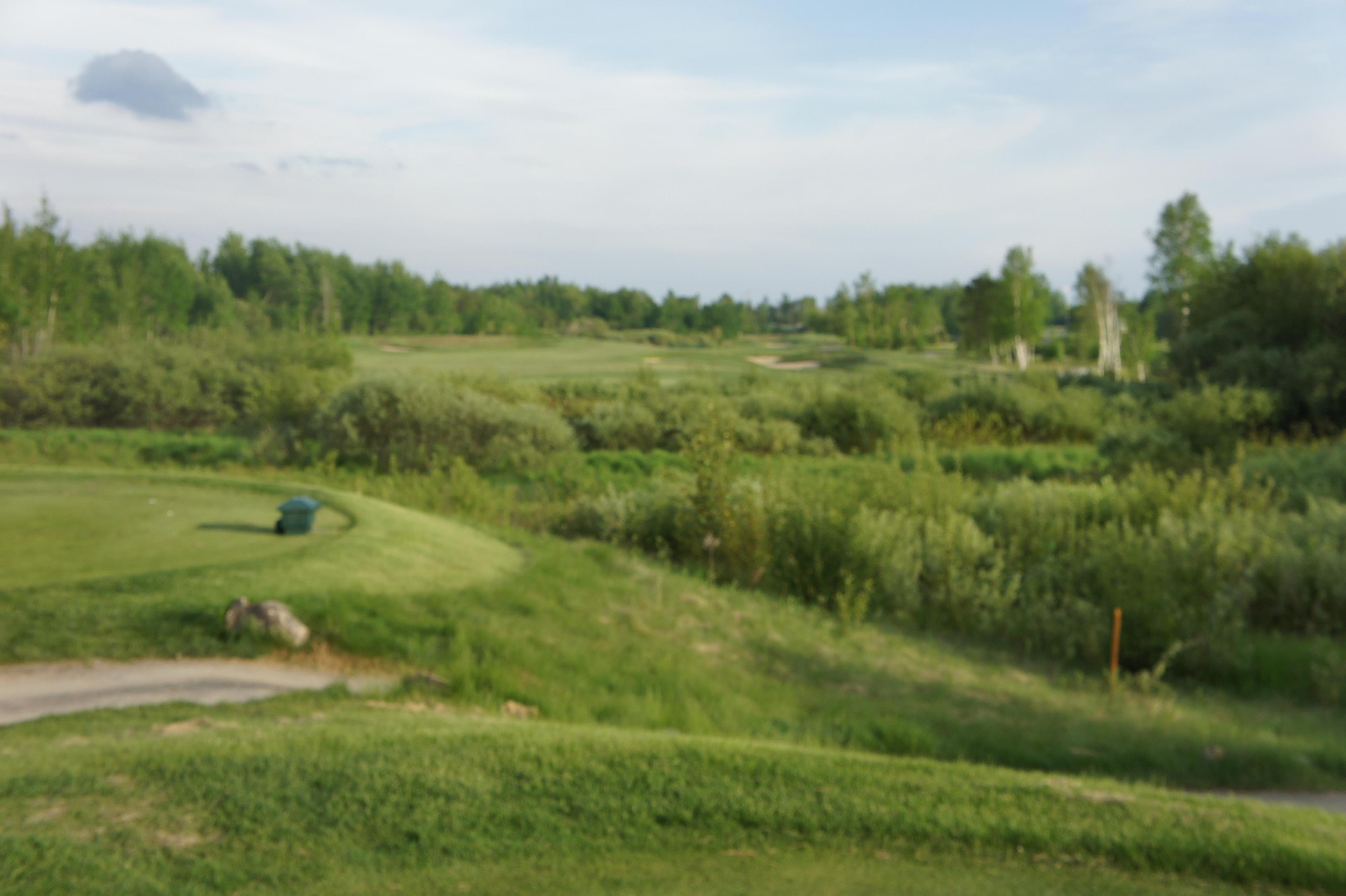 Timberwolf Golf Course