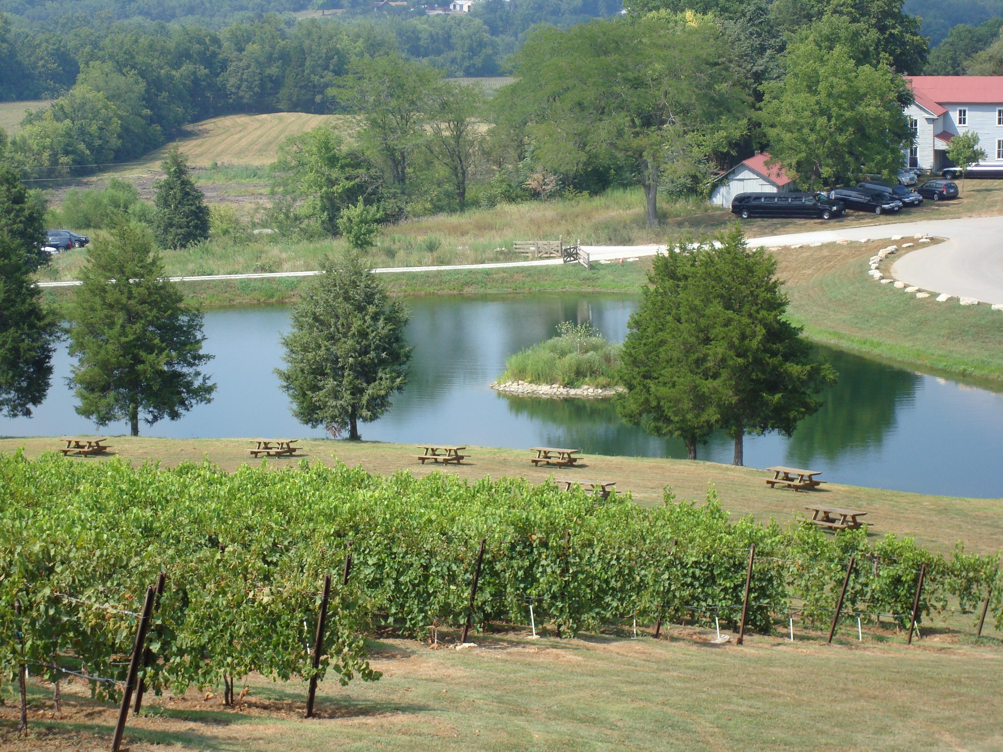 Chandler Hill Vineyards