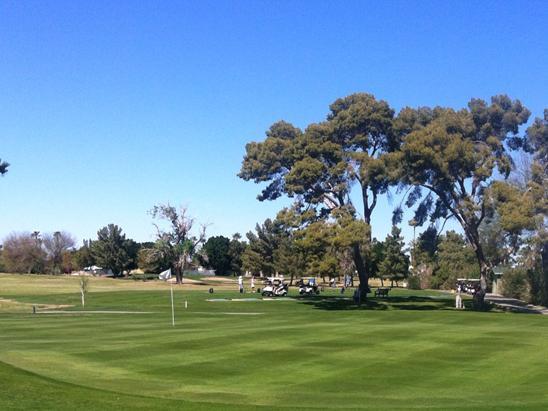 Yuma Golf & Country Club