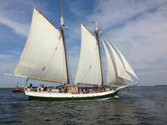 Liberty Fleet of Tall Ships