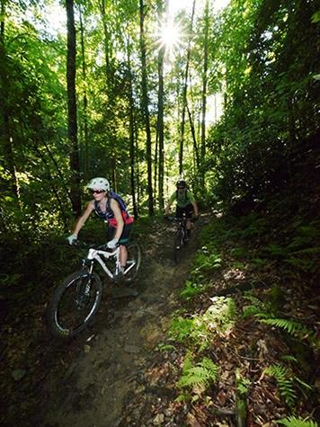 The Bike Farm