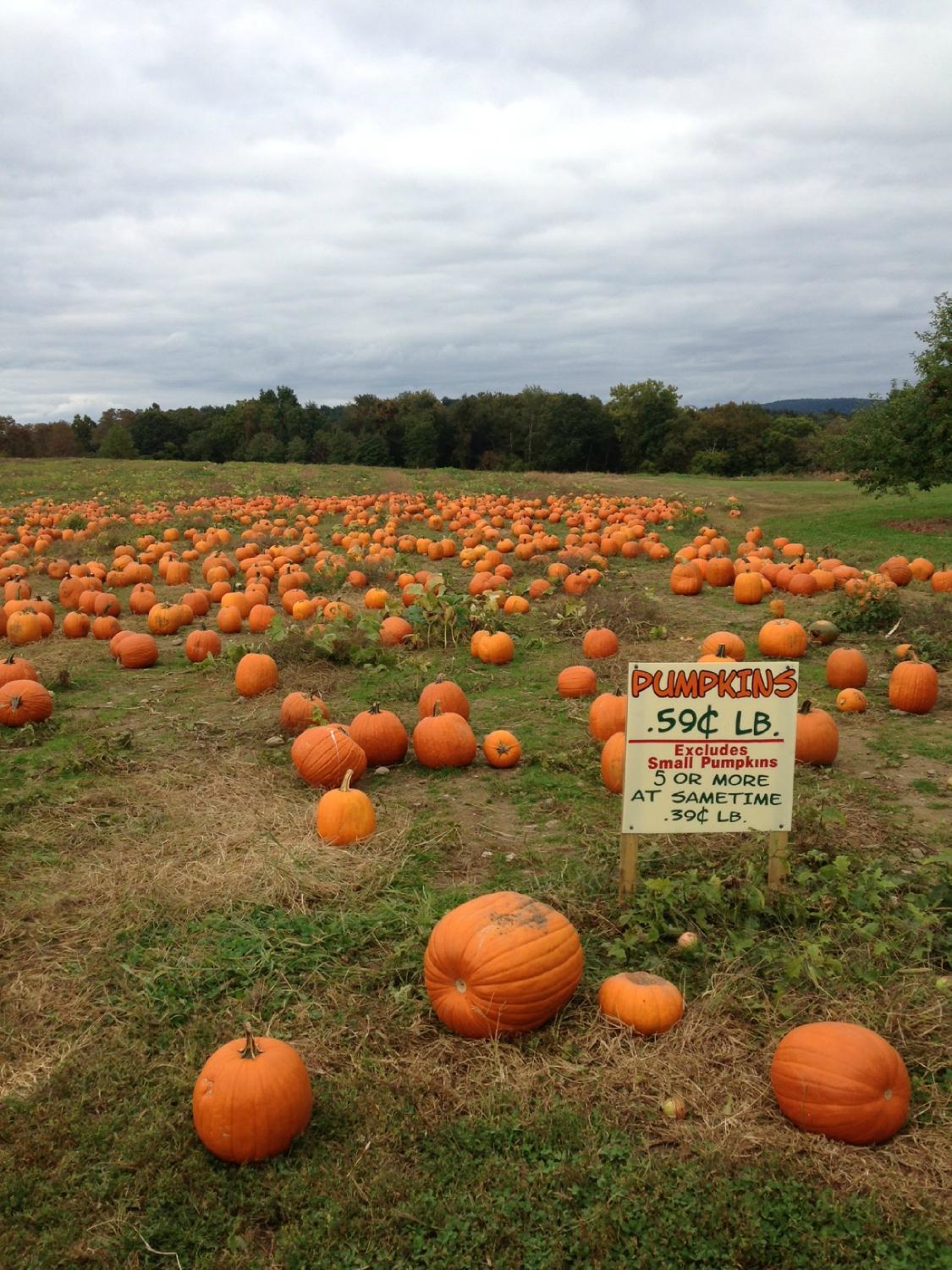 Barton Orchards