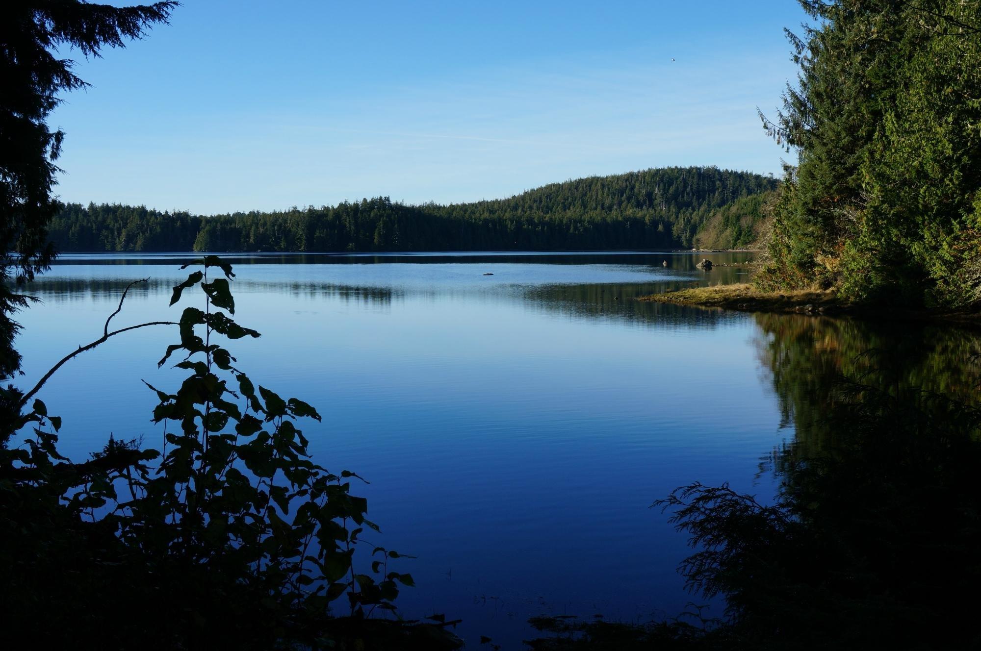 Thornton Creek Hatchery