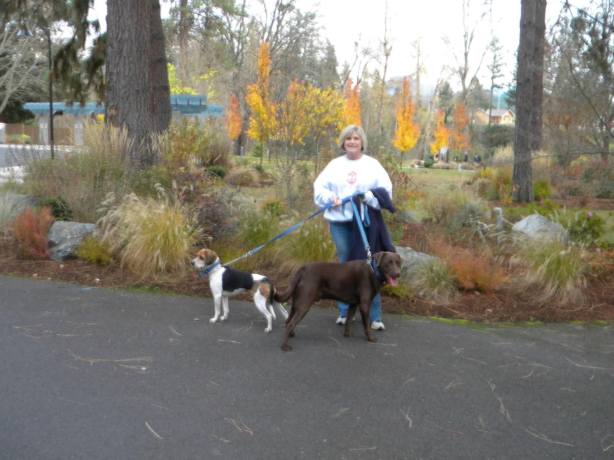 Reinhart Volunteer Park