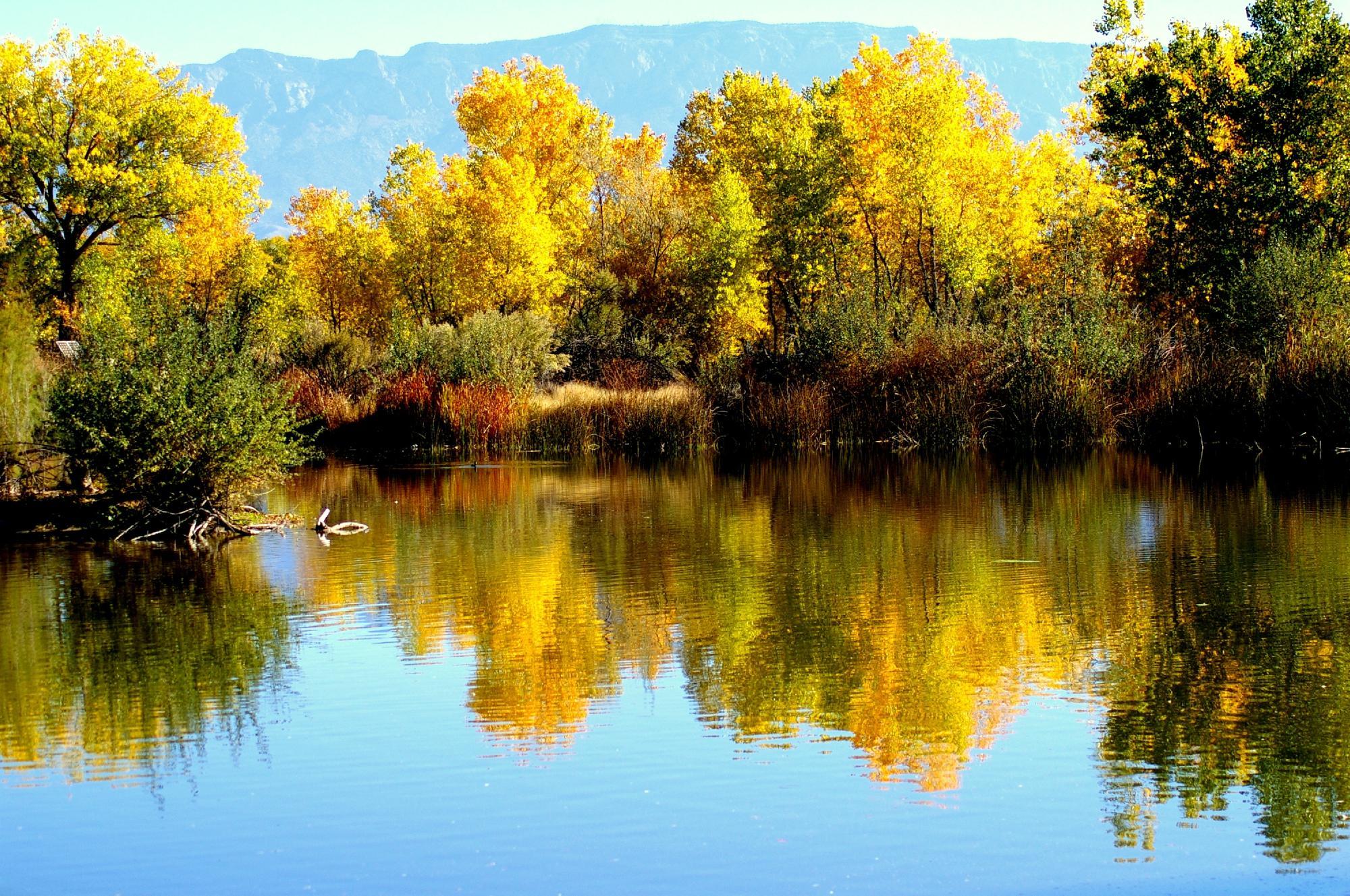 Rio Grande Nature Center State Park