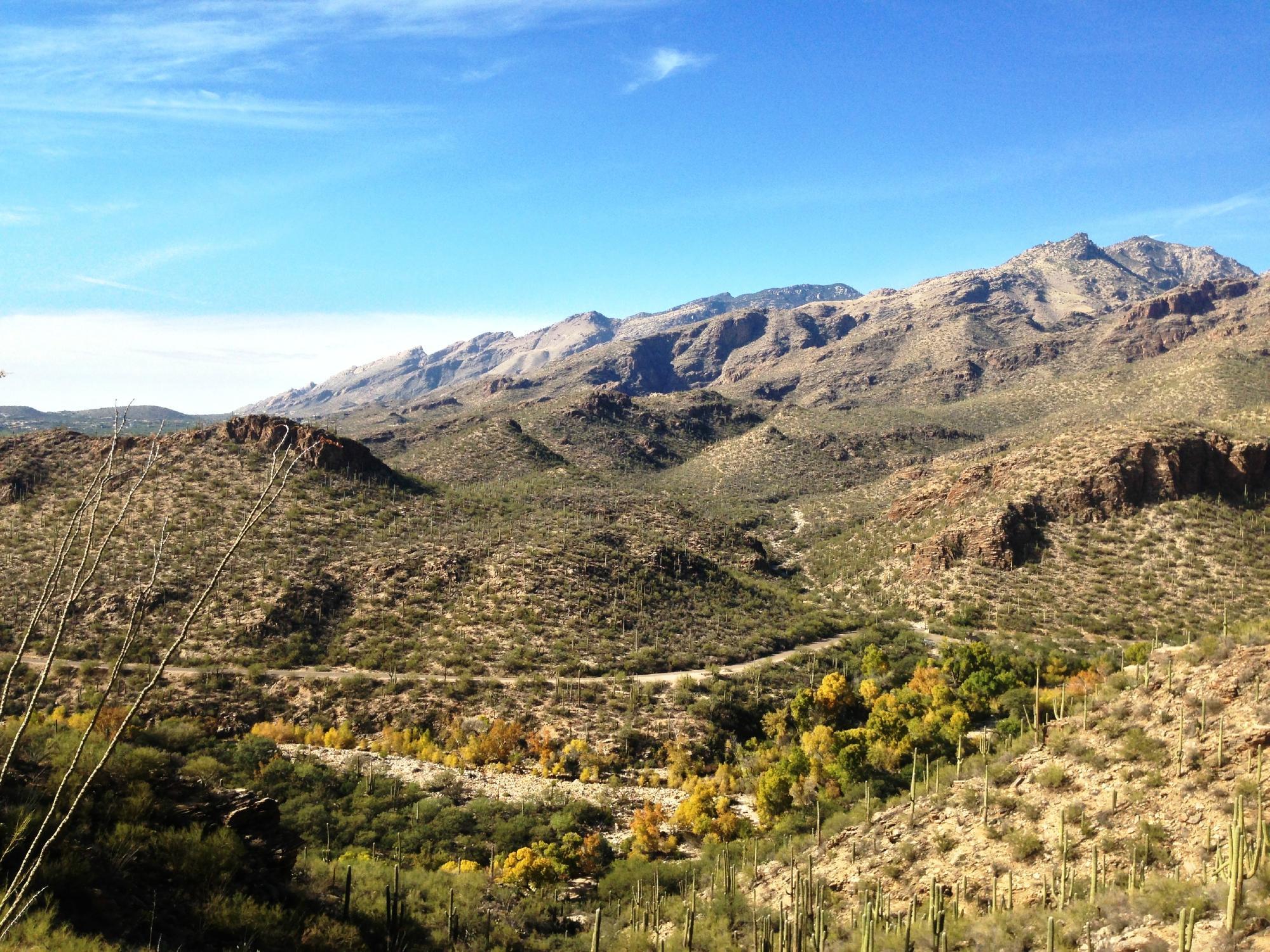 Sabino Canyon