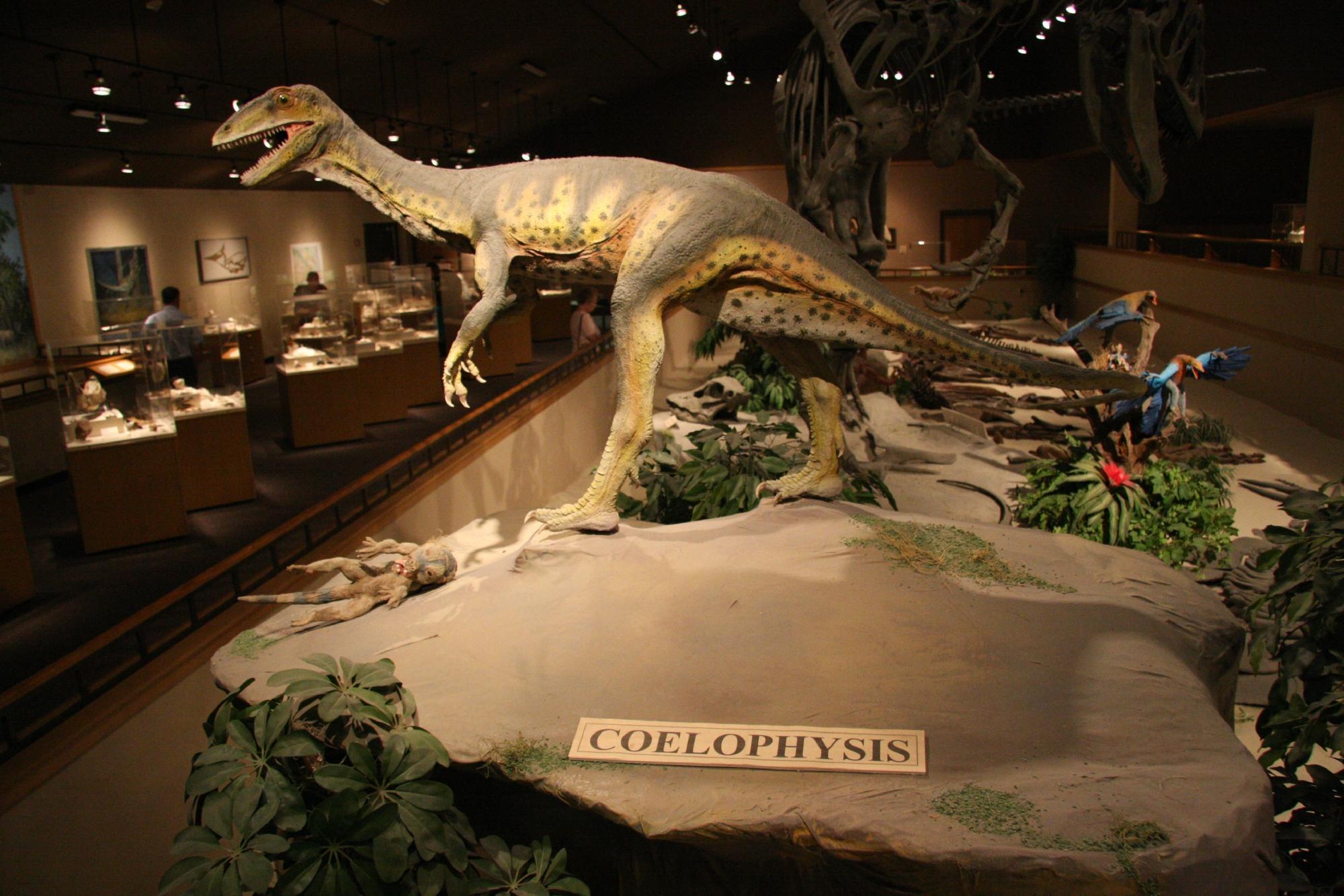 Dakota Dinosaur Museum