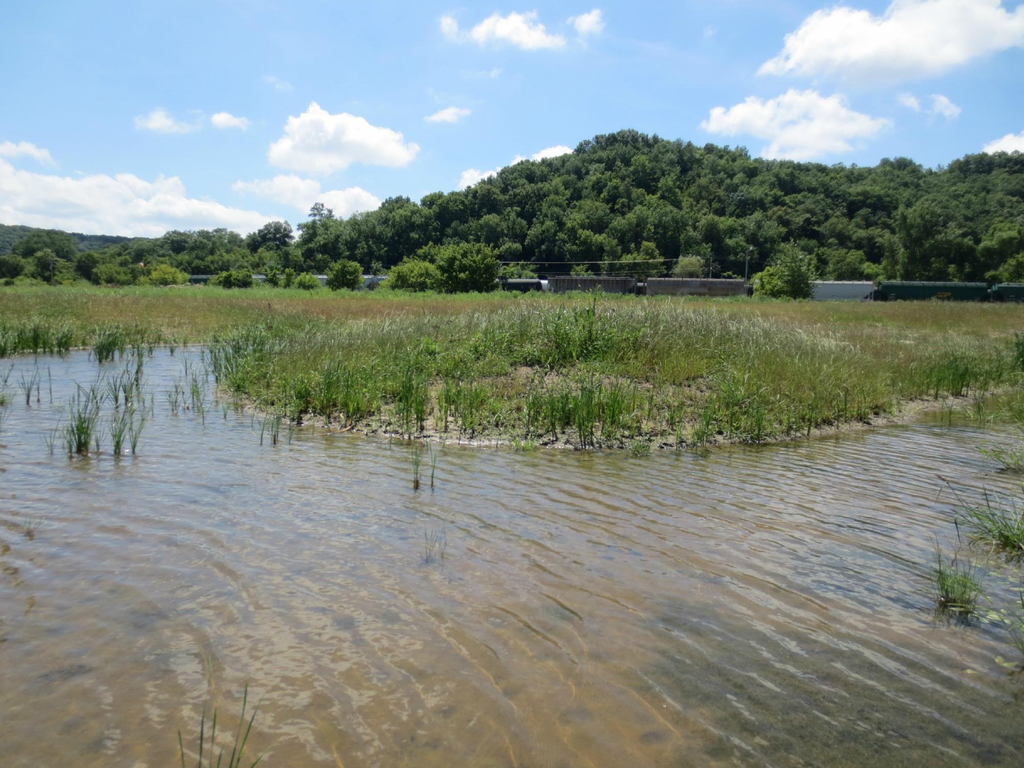 Driftless Area Wetlands Centre