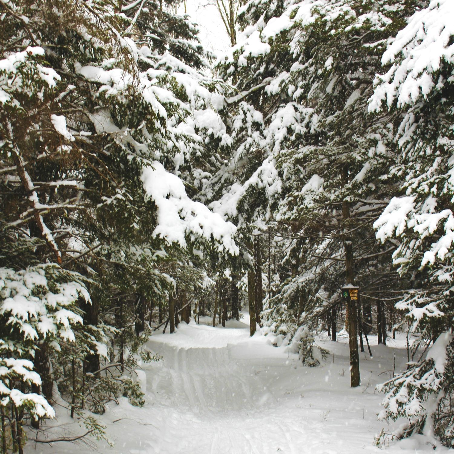 Mountain Trails Cross Country Ski Center