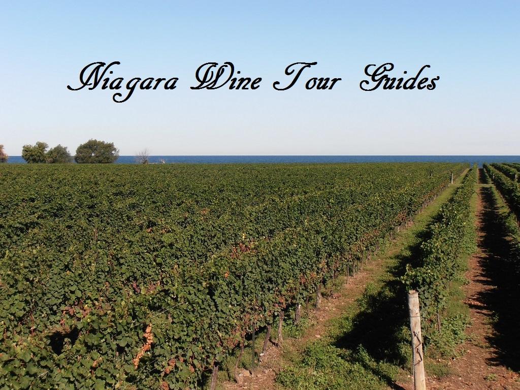 Niagara Wine Tour Guides