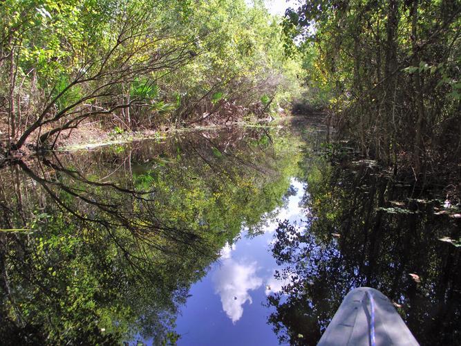 Palmetto Island State Park