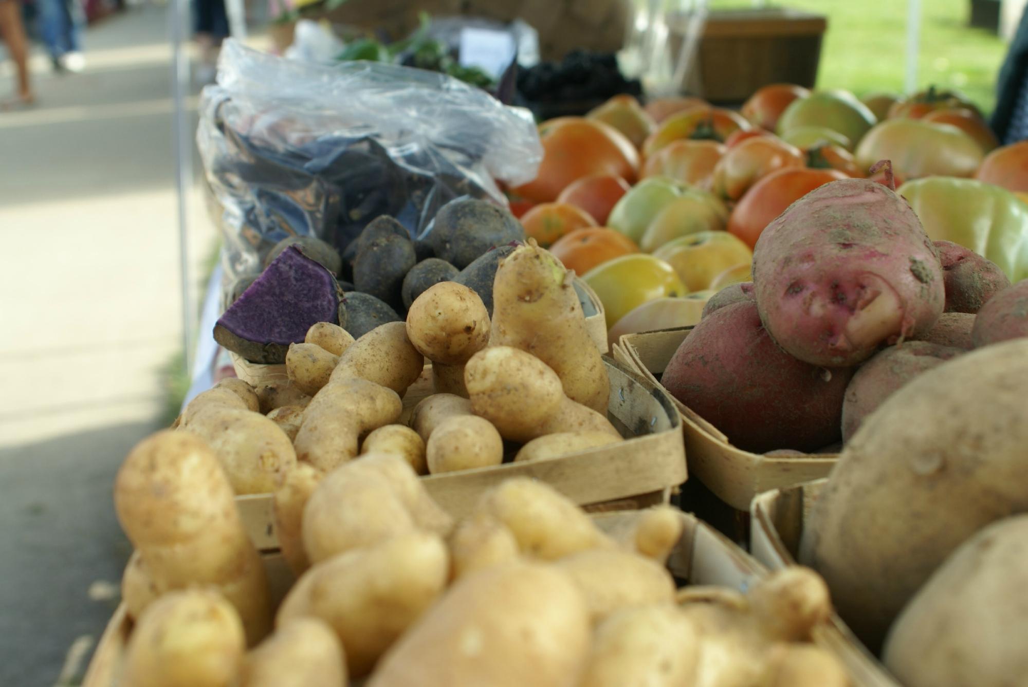 Orange County HomeGrown Farmers Market