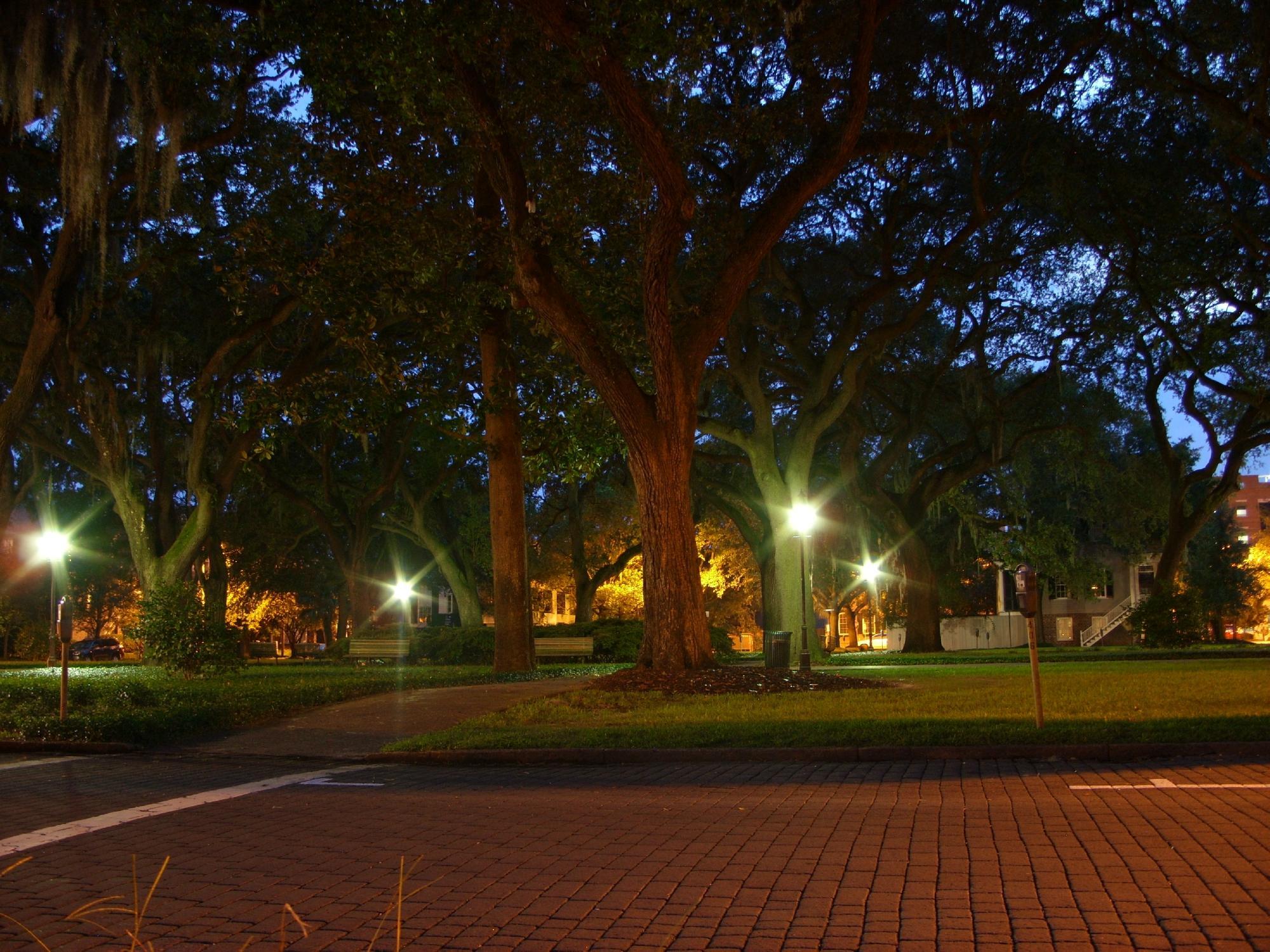 Bonnie Blue Walking Tours of Savannah