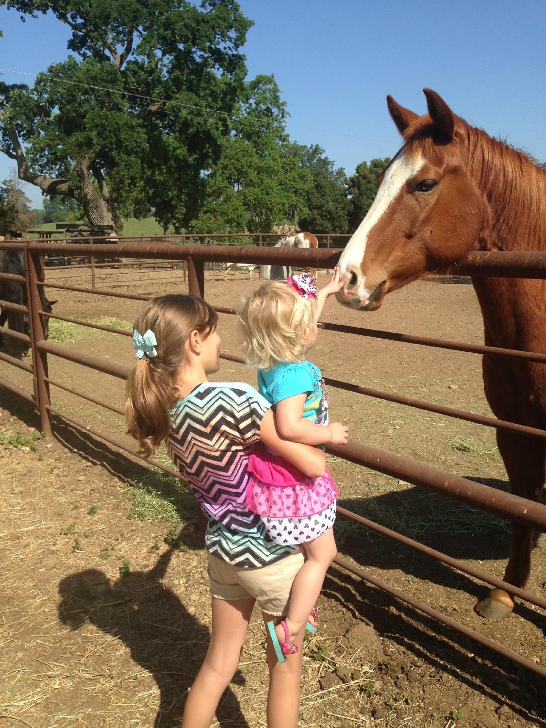 Happy Acres Family Farm