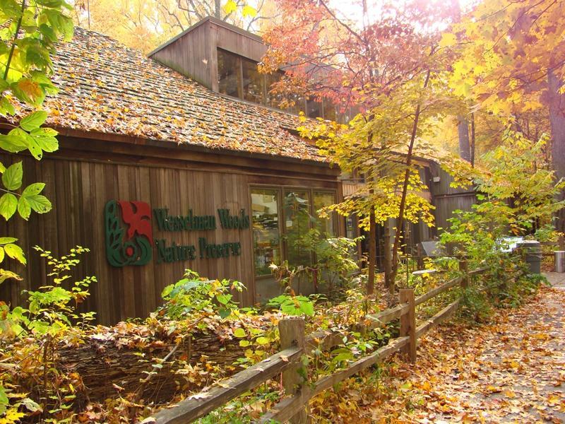 Wesselman Woods Nature Preserve