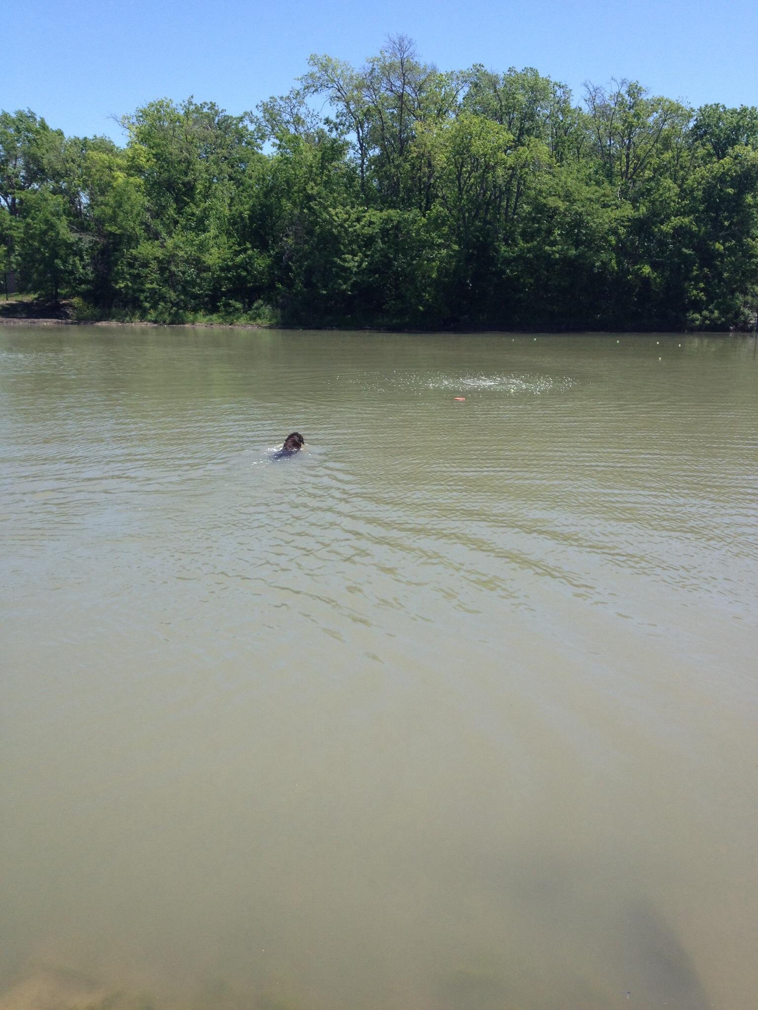 Northbark Dog Park