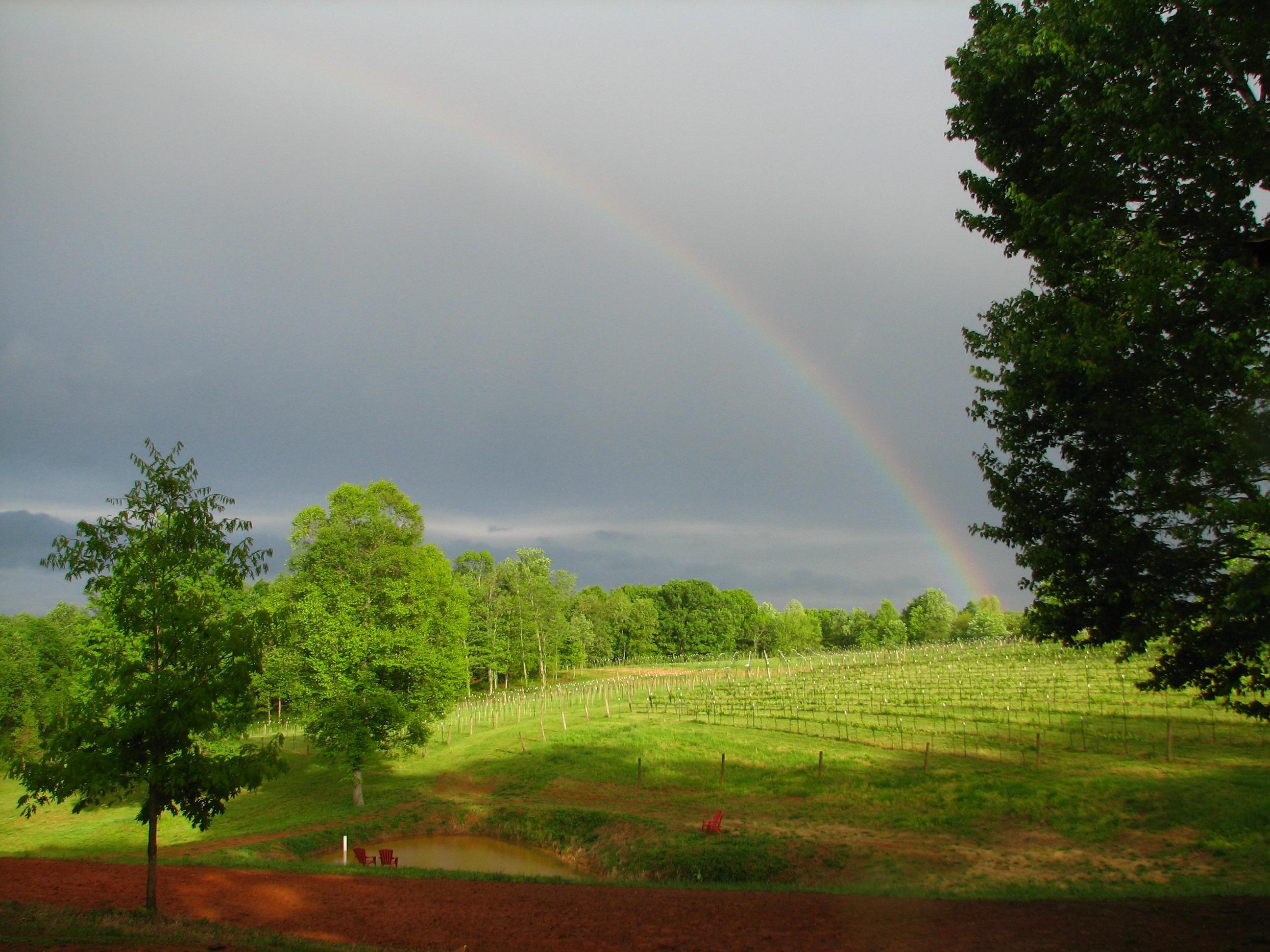 Menarick Vineyard & Winery