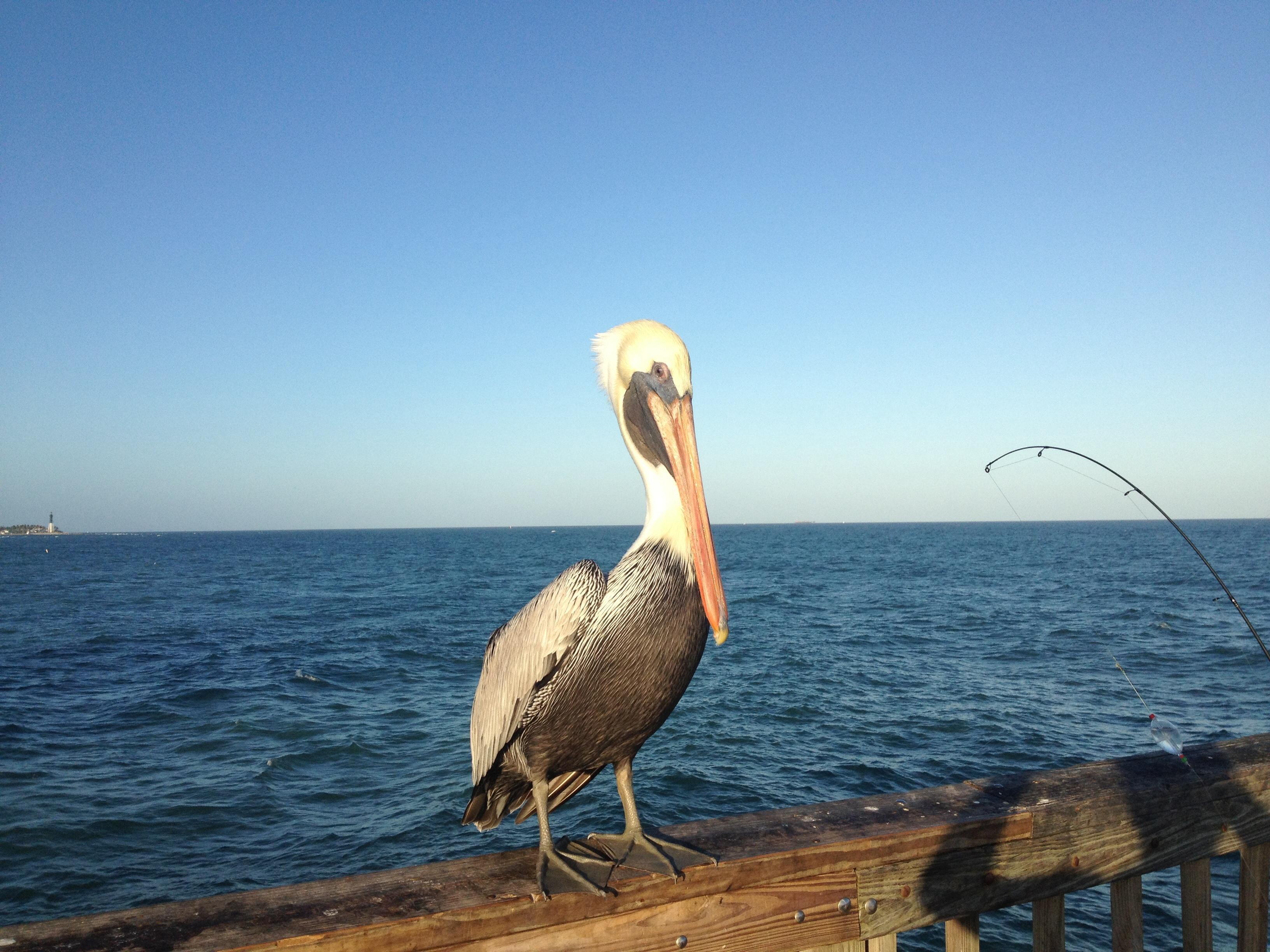 Pompano Beach Pier