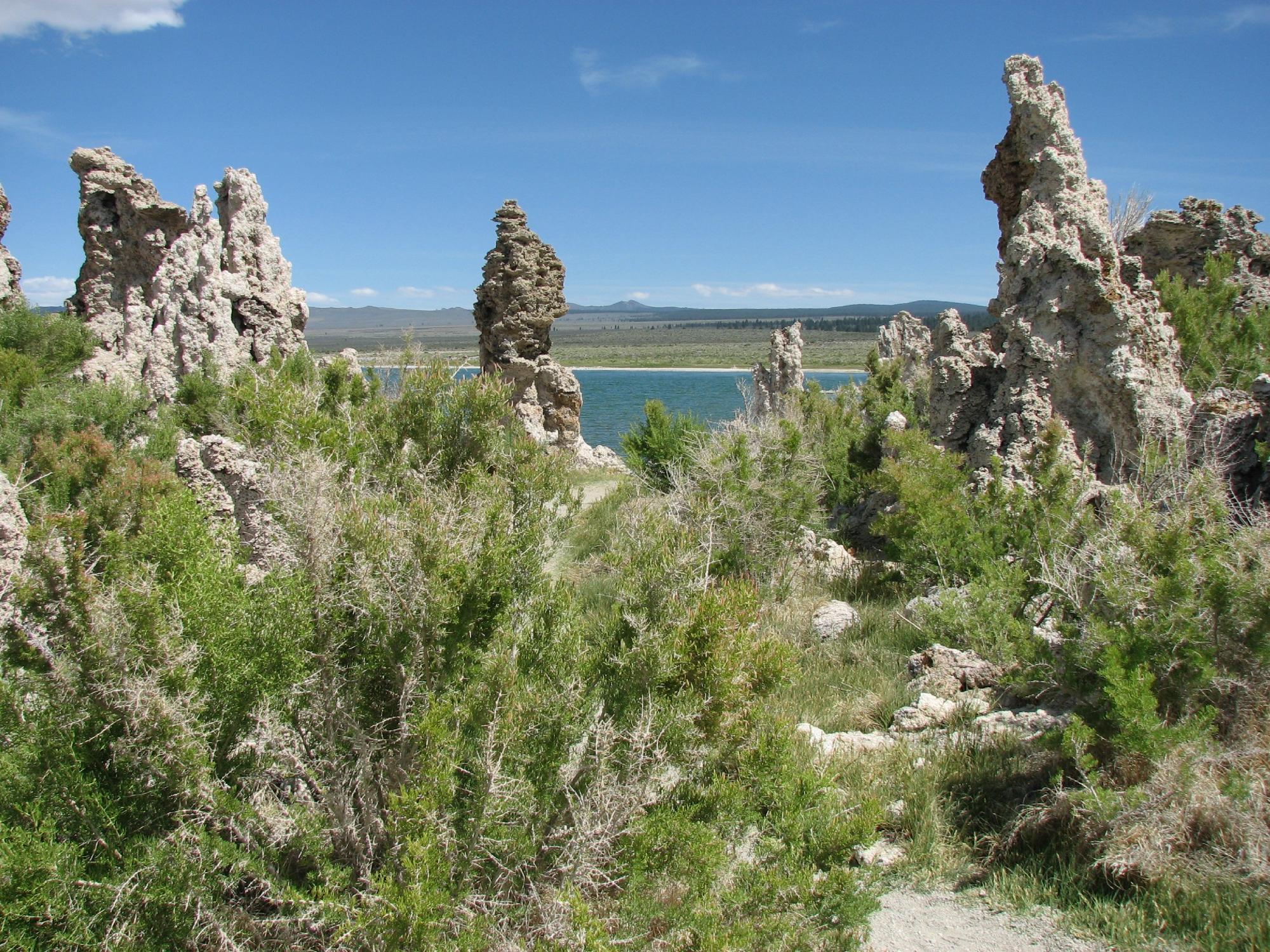 Mono Lake Committee Information Center