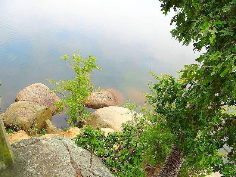 Buzzard Rock Trail