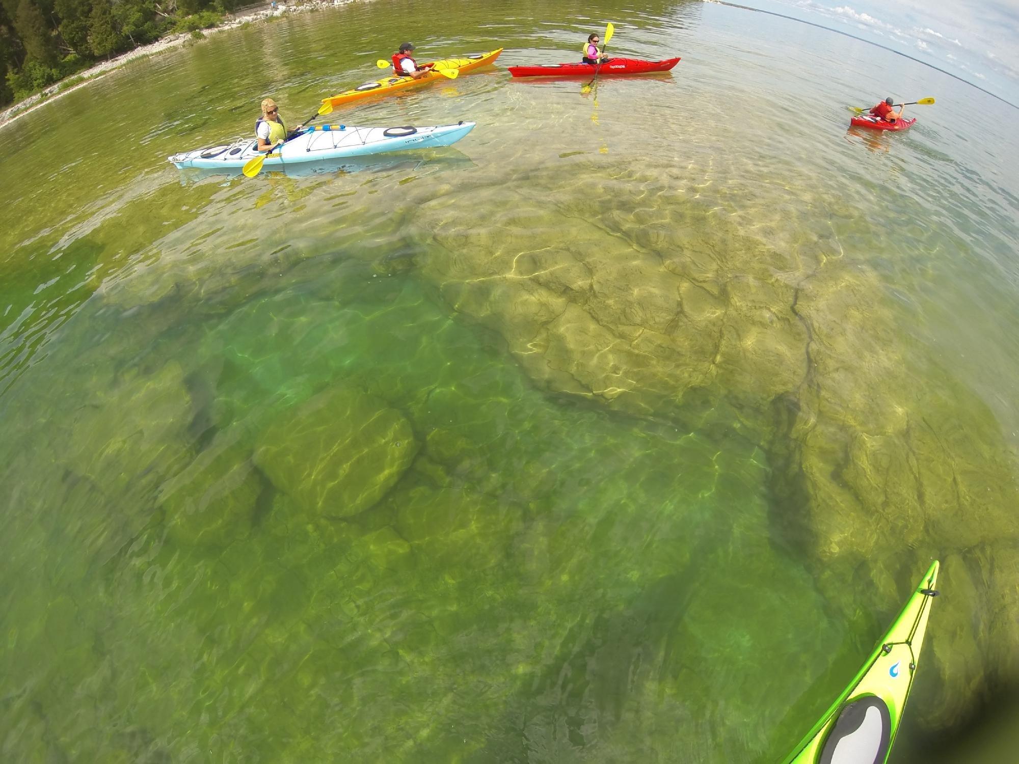 Great Turtle Kayak Tours