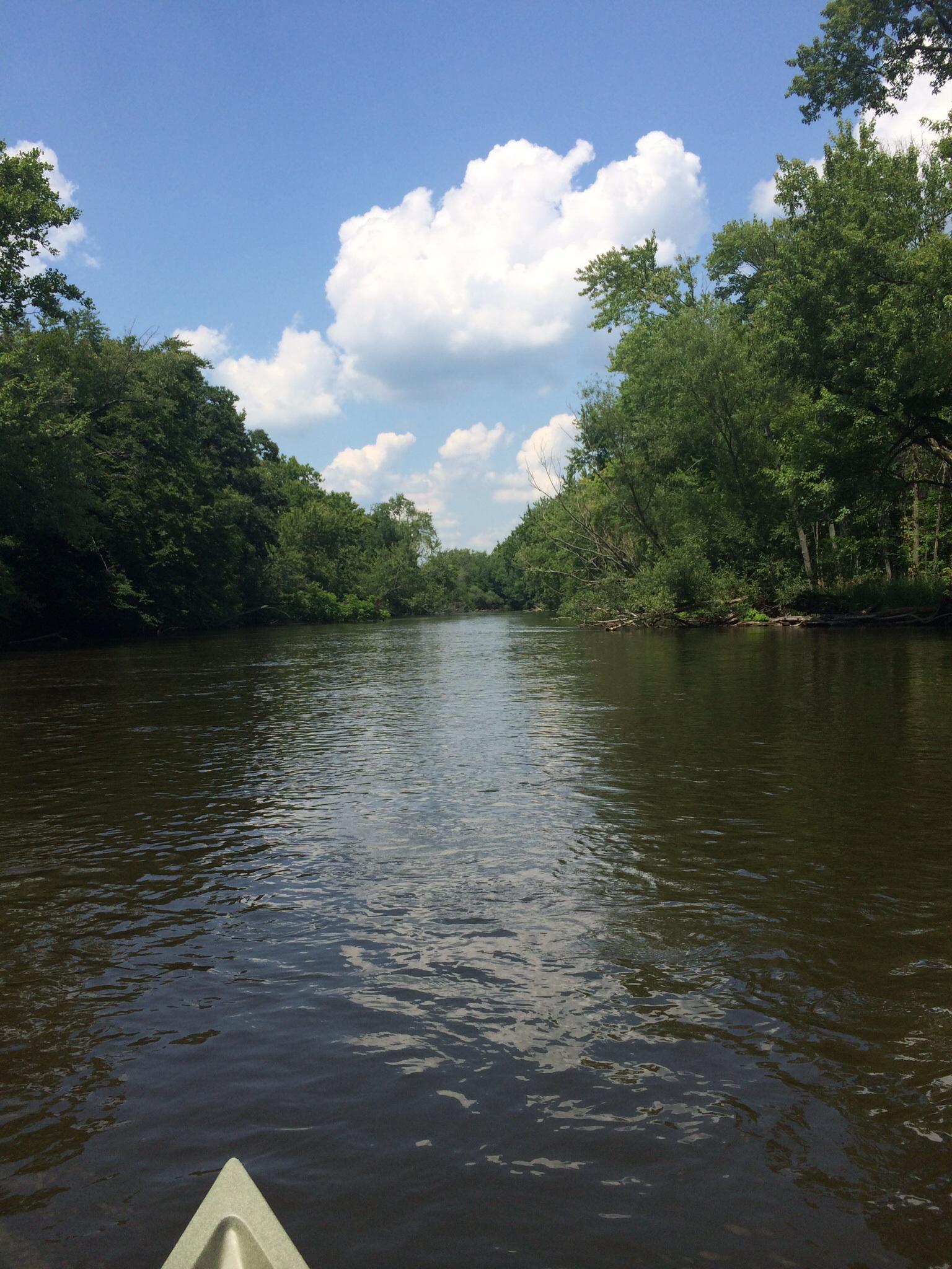 Island City Kayak