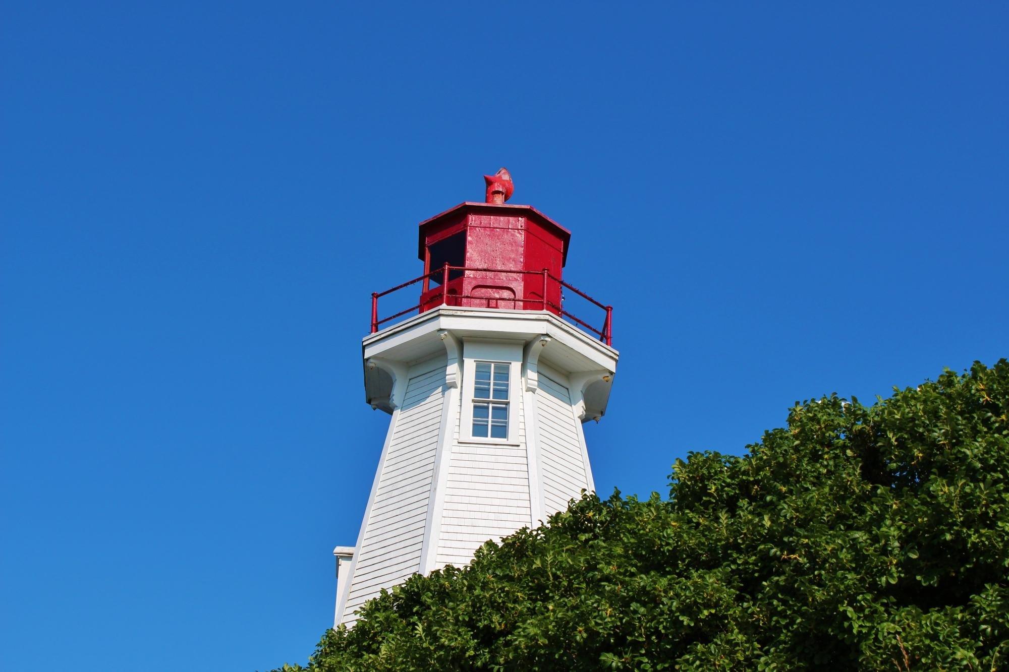 Tarquin Whale Watch