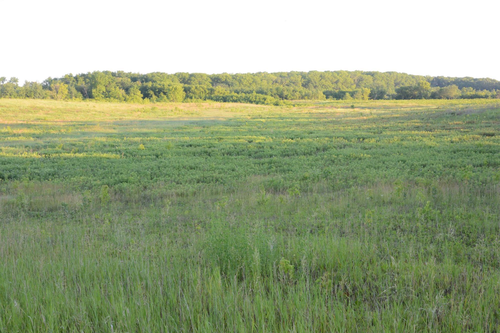 Cowling Arboretum at Carleton College