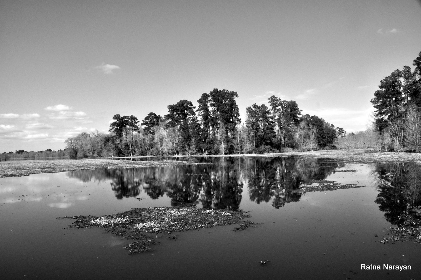 Martin Dies, Jr. State Park