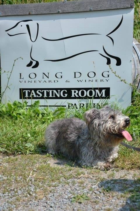 Long Dog Winery