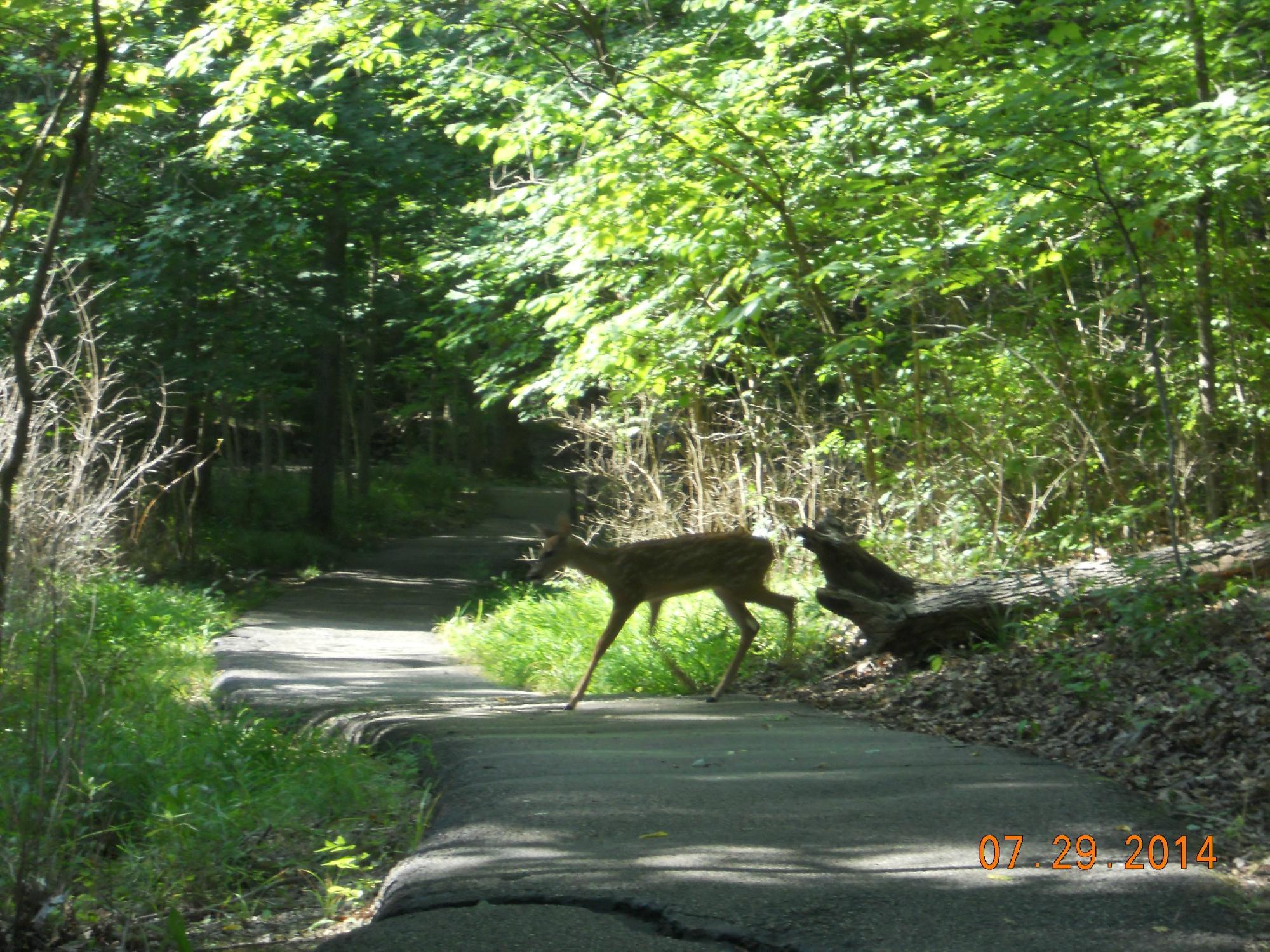 Powder Valley Conservation Nature Center