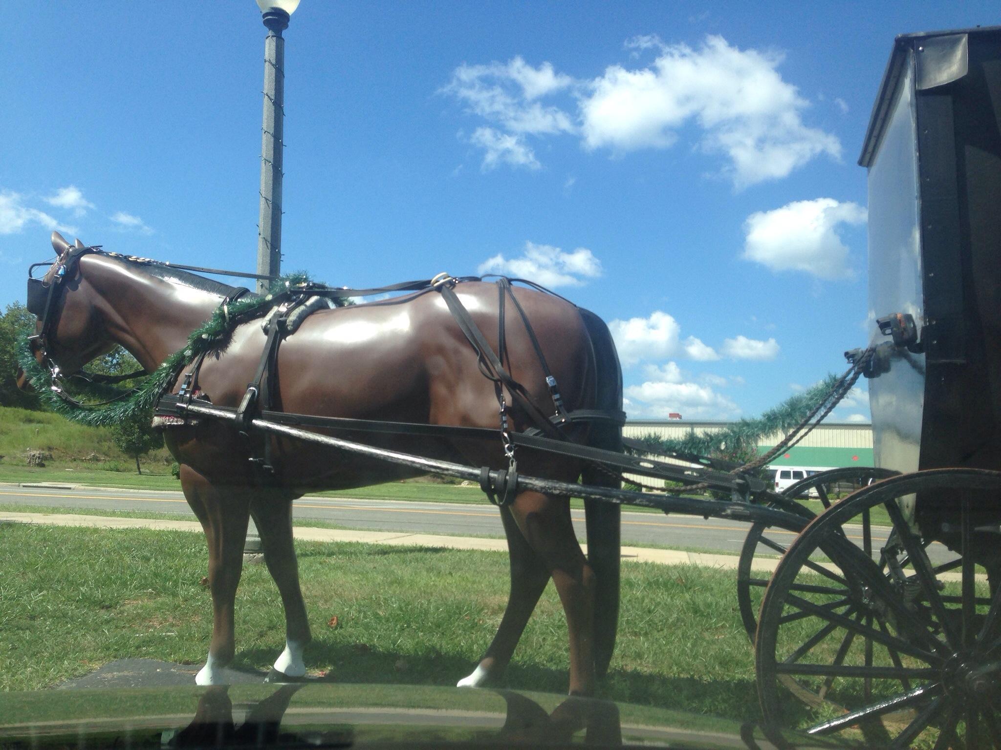 Amish Country Store