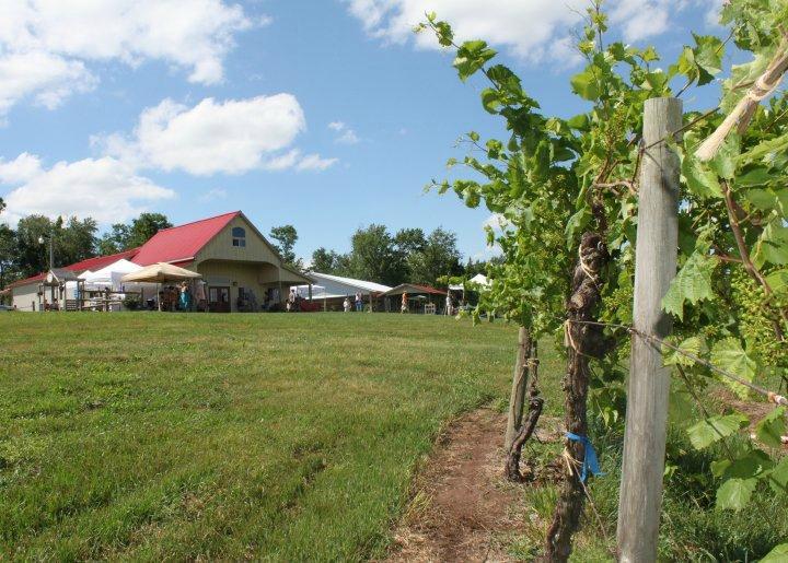 The Winery at Hunters Valley