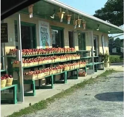 The Peach Tree Orchards