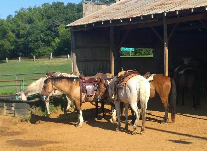 Lake Murray Riding Stables