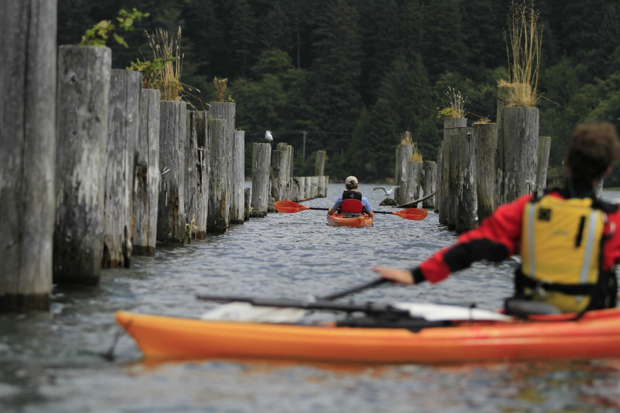 Kayak Tillamook County