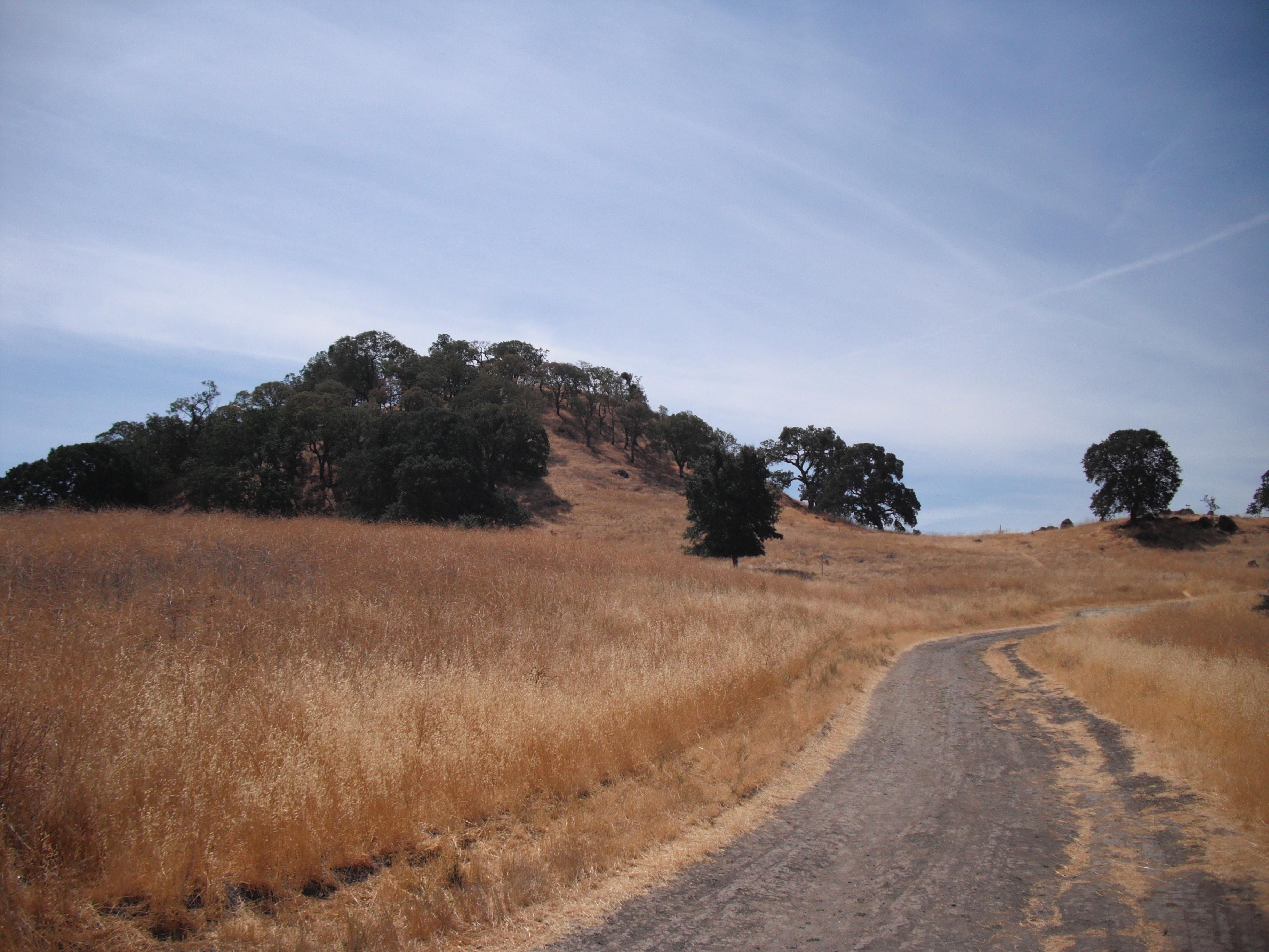 Shell Ridge Open Space