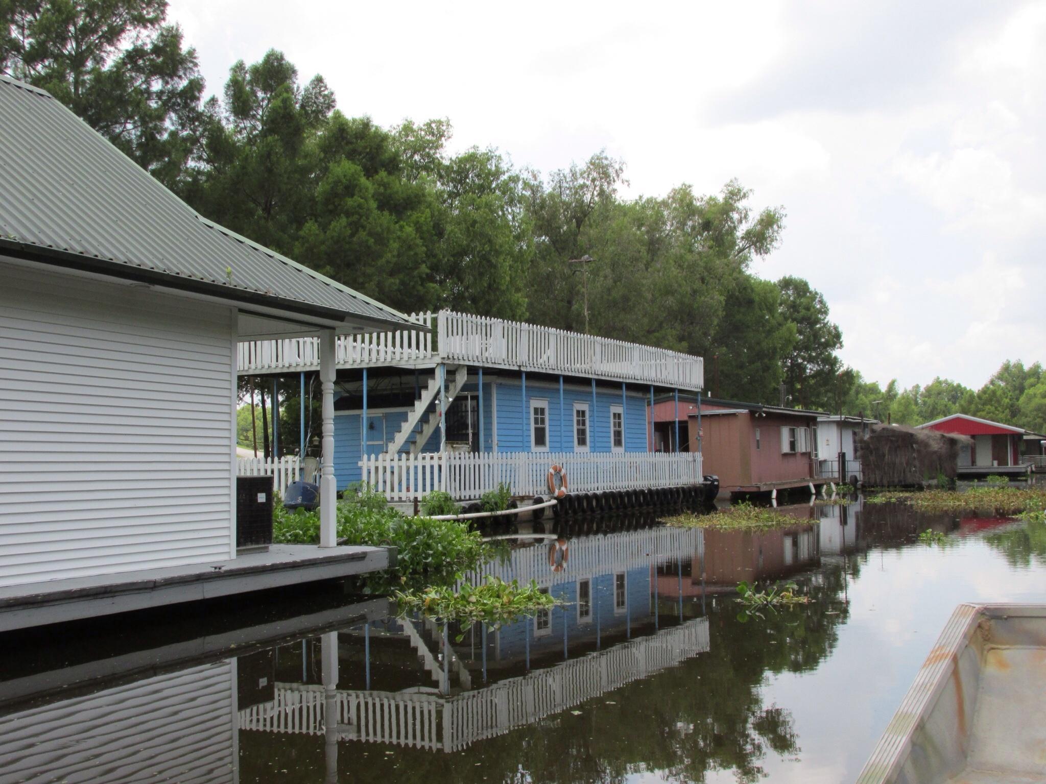 Mequet Swamp Tours